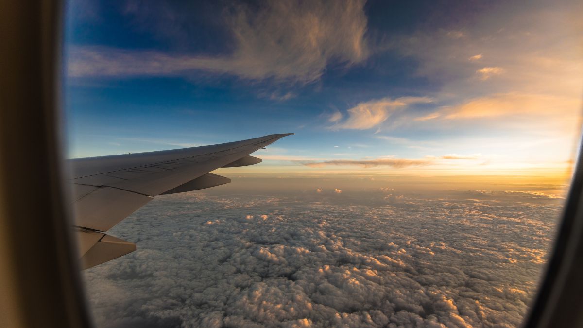 Fragmentos: I. El Vuelo