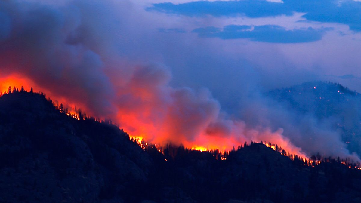 Informe sobre prevención de incendios en los bosques de la zona central de Veracruz