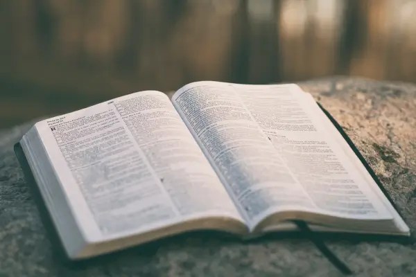 Por Dentro dos Livros e as Curiosidades Literárias que Todo Leitor Deveria Saber