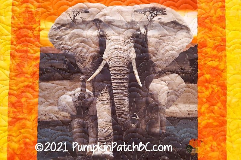 African Sunset Detail 1