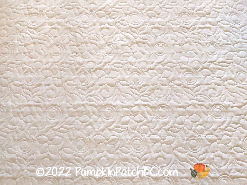 Renate's Scrap Quilt Back 1