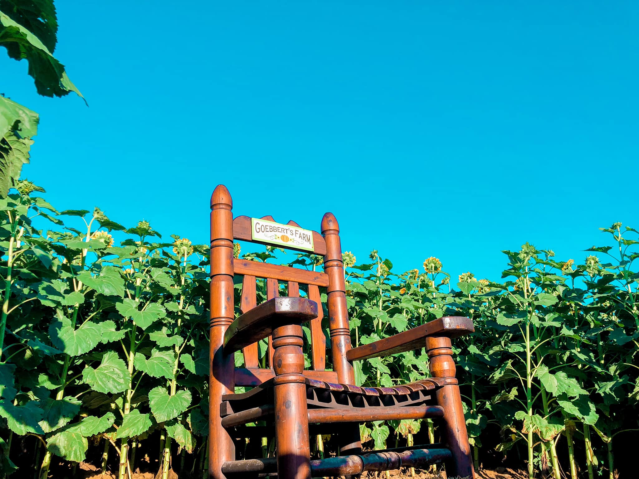 Goebbert's pumpkin patch and apple orchard