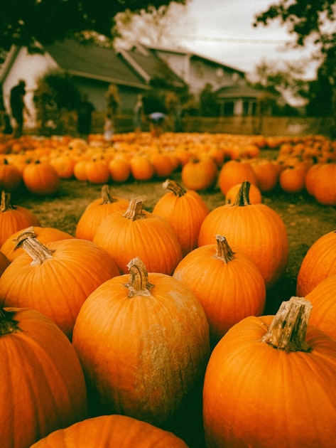 Top Hiking Trails in Pumpkintown