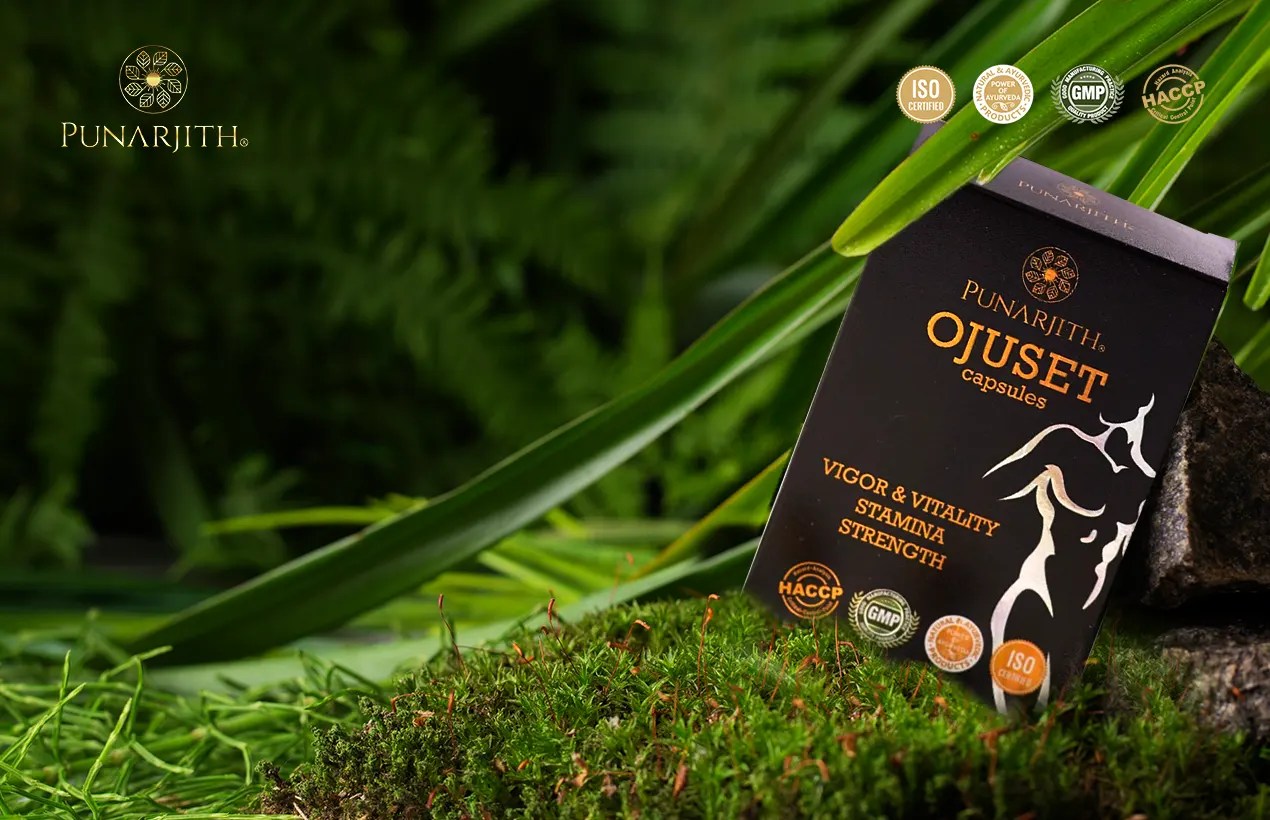 shilajith uses in ayurveda, ayurvedic benefits of shilajith