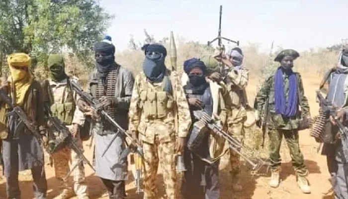 UPDATED: LG chair says 12 killed by terrorists in Adamawa