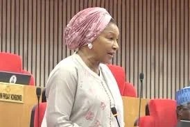 Ireti Kingibe: I Never Saw Report Behind Natasha's Suspension (2026)