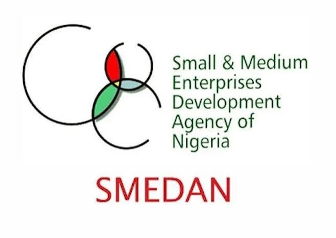 Nigeria's Startup Challenge: Funding vs. Investment-Ready Startups | SMEDAN Insights (2026)