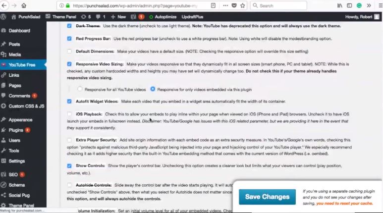 Have you ever tried to . Embed Youtube Video Ultimate Guide Punchsalad