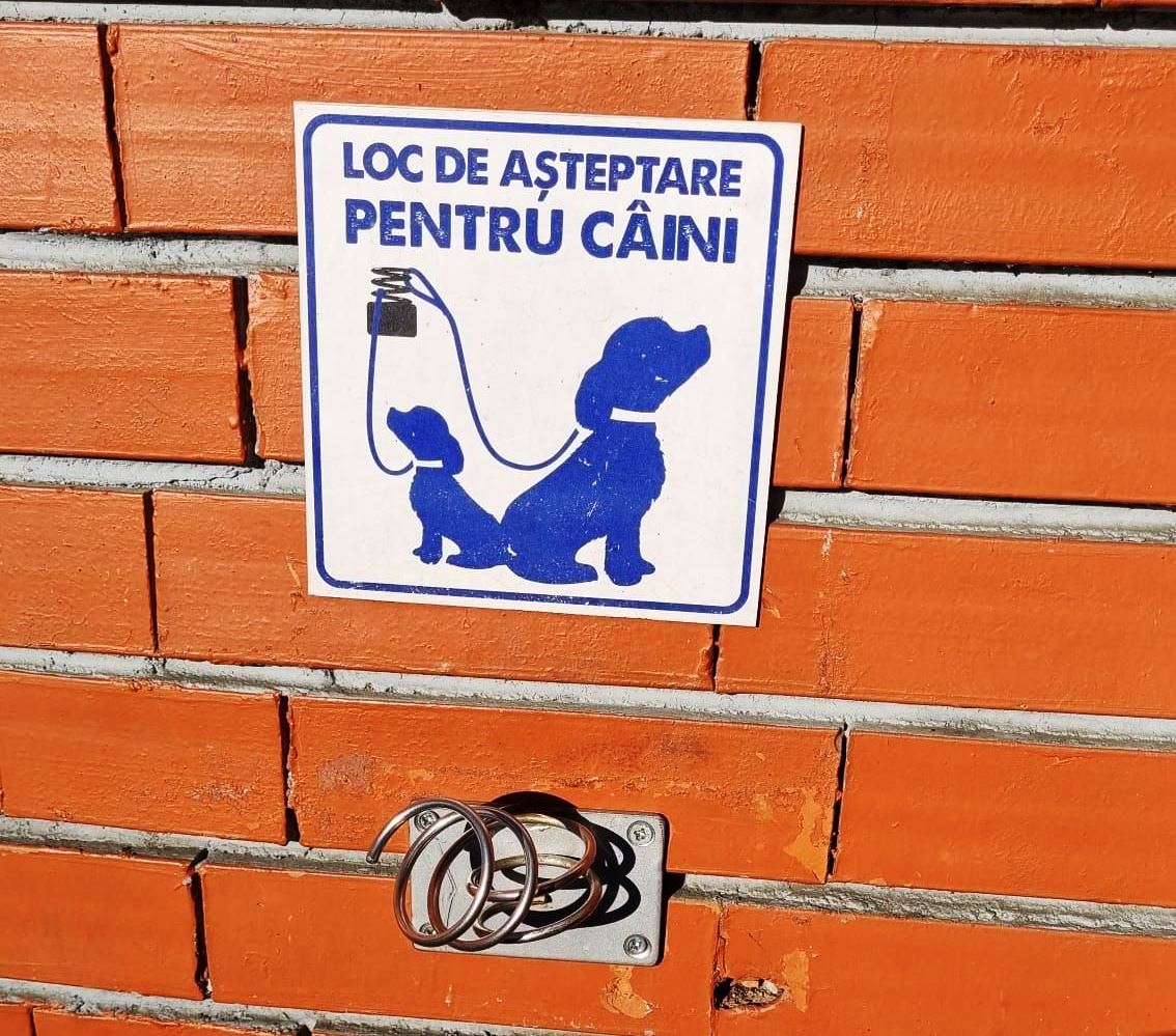 Când se montează și în Târgu Mureș “locuri de așteptare pentru câini”
