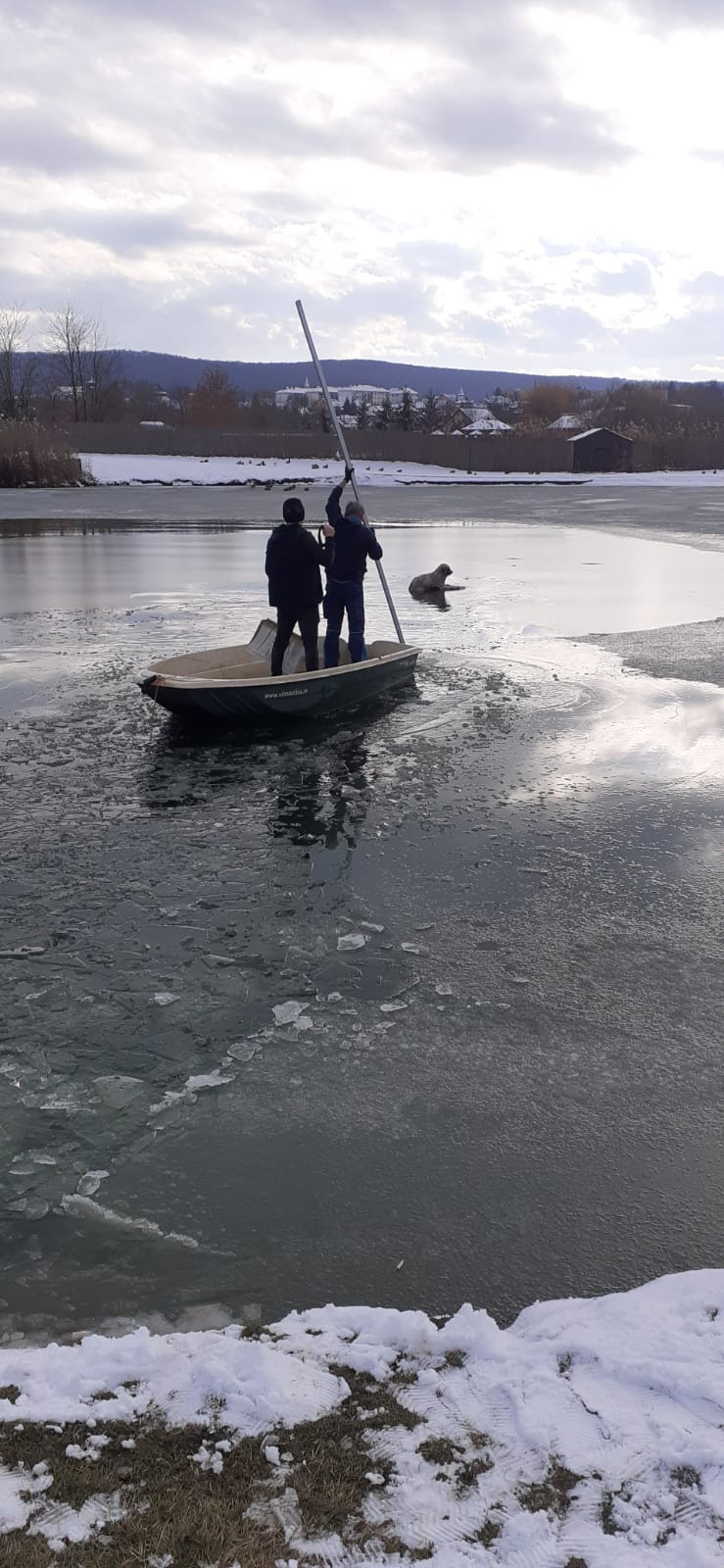 Punctul alb se acordă celor doi bărbați care au salvat un câine intrat pe gheața subțire a lacului din apropierea Centrului RAB din Sângeorgiu de Mureș în cursul zilei de marți (16.01.24) care nu se putea întoarce la mal