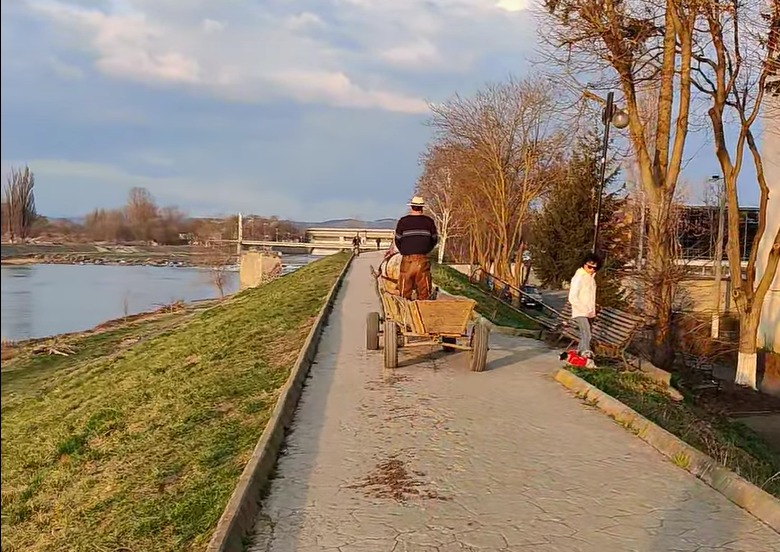Punctul negru pentru căruțașul care a intrat pe aleea de promenada de pe malul Mureșului. Deși e un caz singular astfel de situații nu fac cinste orașului Târgu Mureș