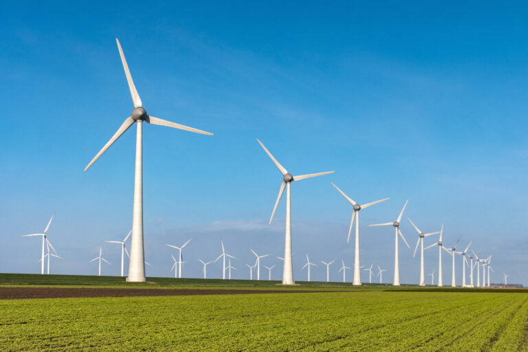 Premier Energy România preia jumătate din eolienele din Ungaria