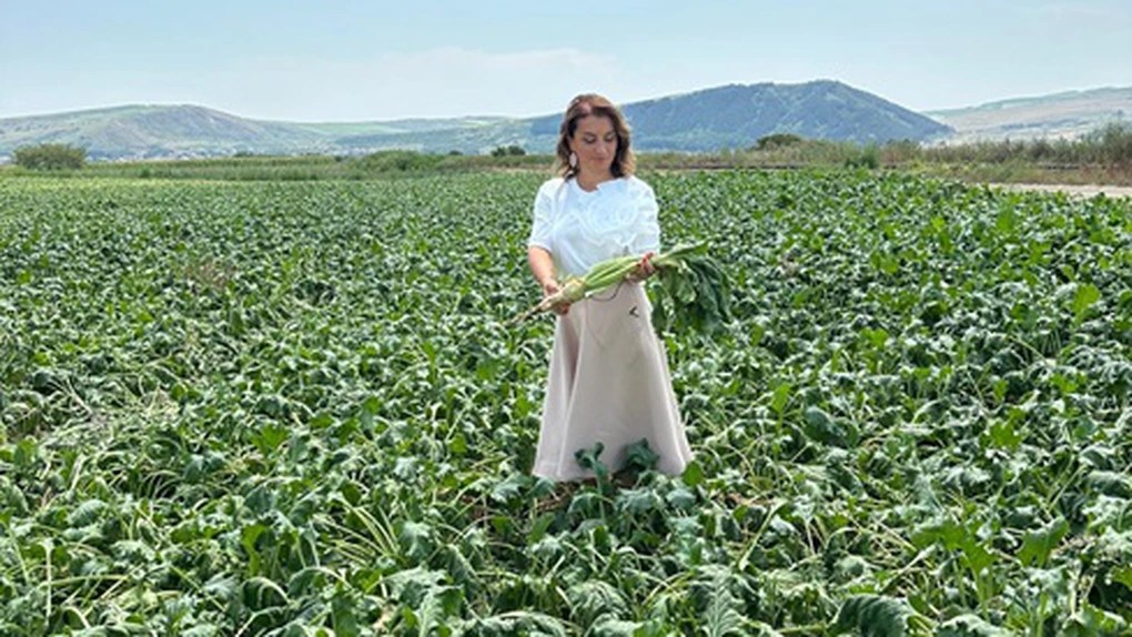 Nu există cerere de melasă și borhot a declarat Mihaela Neagu, proprietara Fabricii de Zahăr Luduș