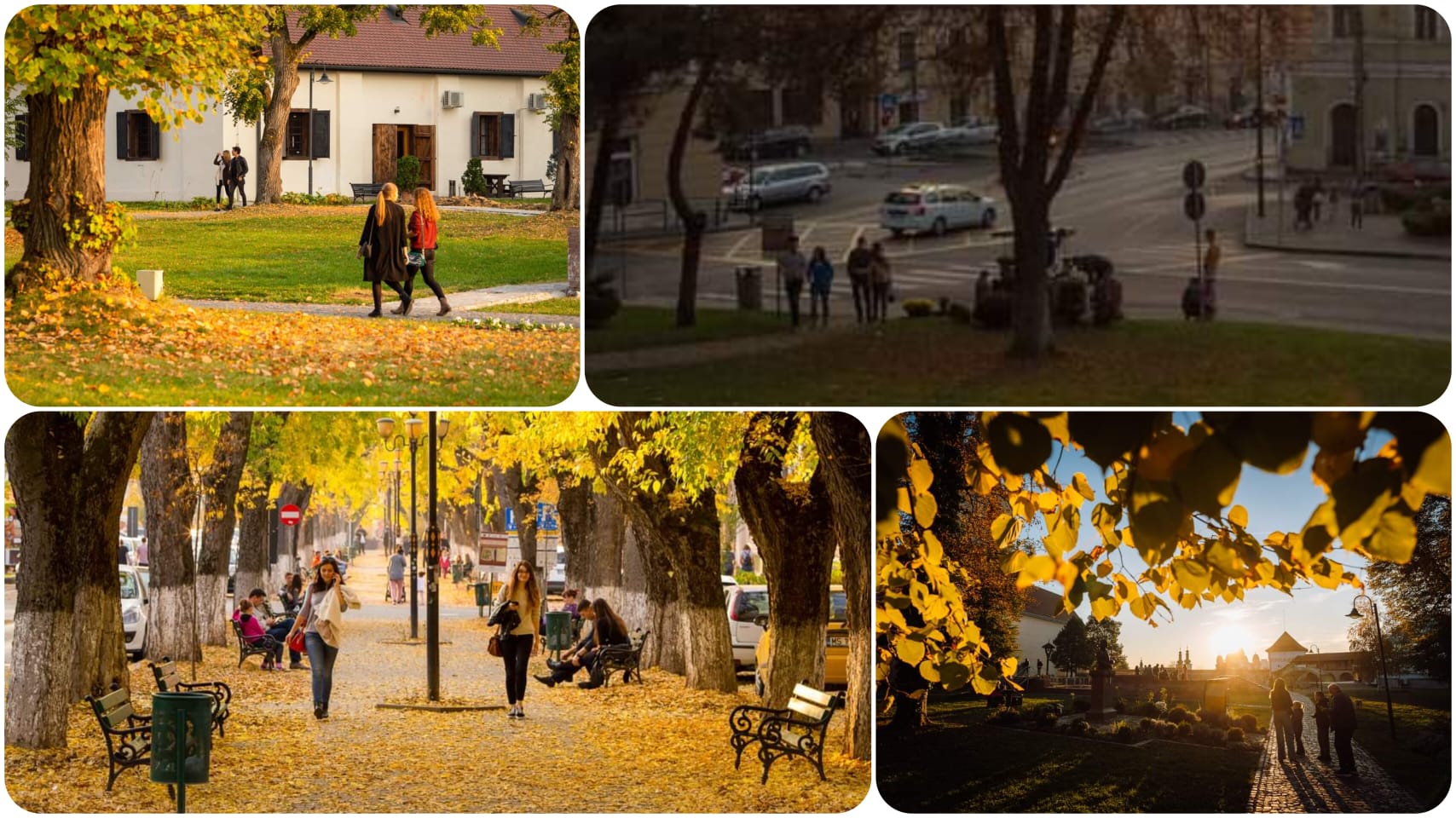 Nu ratați atmosfera de toamnă și aroma castanelor prăjite din zona Cetății Medievale din Târgu Mureș
