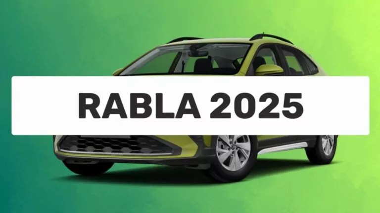 Programul Rabla 2025 – S-a anunțat cât va fi ecotichetul pentru mașini electrice