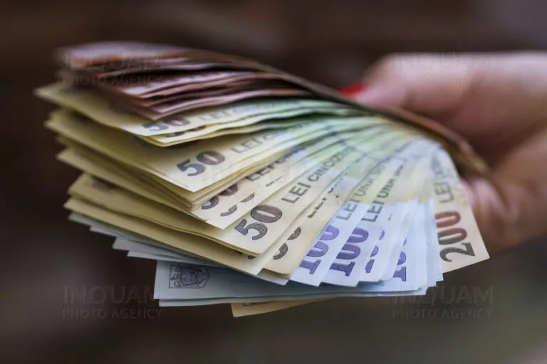 Cele mai mari salarii, în industria petrolieră și tehnologia informației, cele mai mici, în horeca și industria textilă