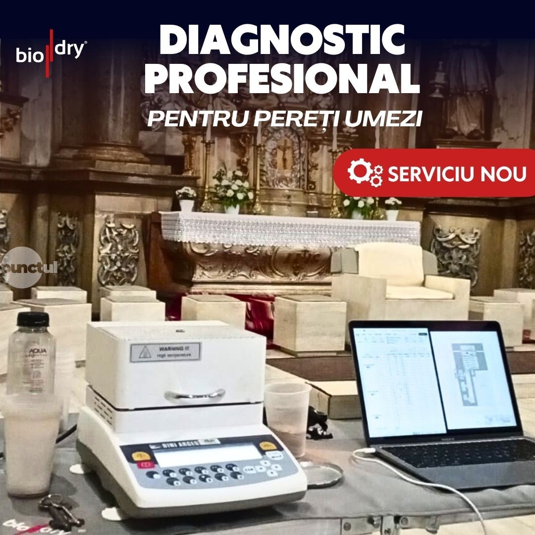 Diagnostic profesional pentru pereți umezi