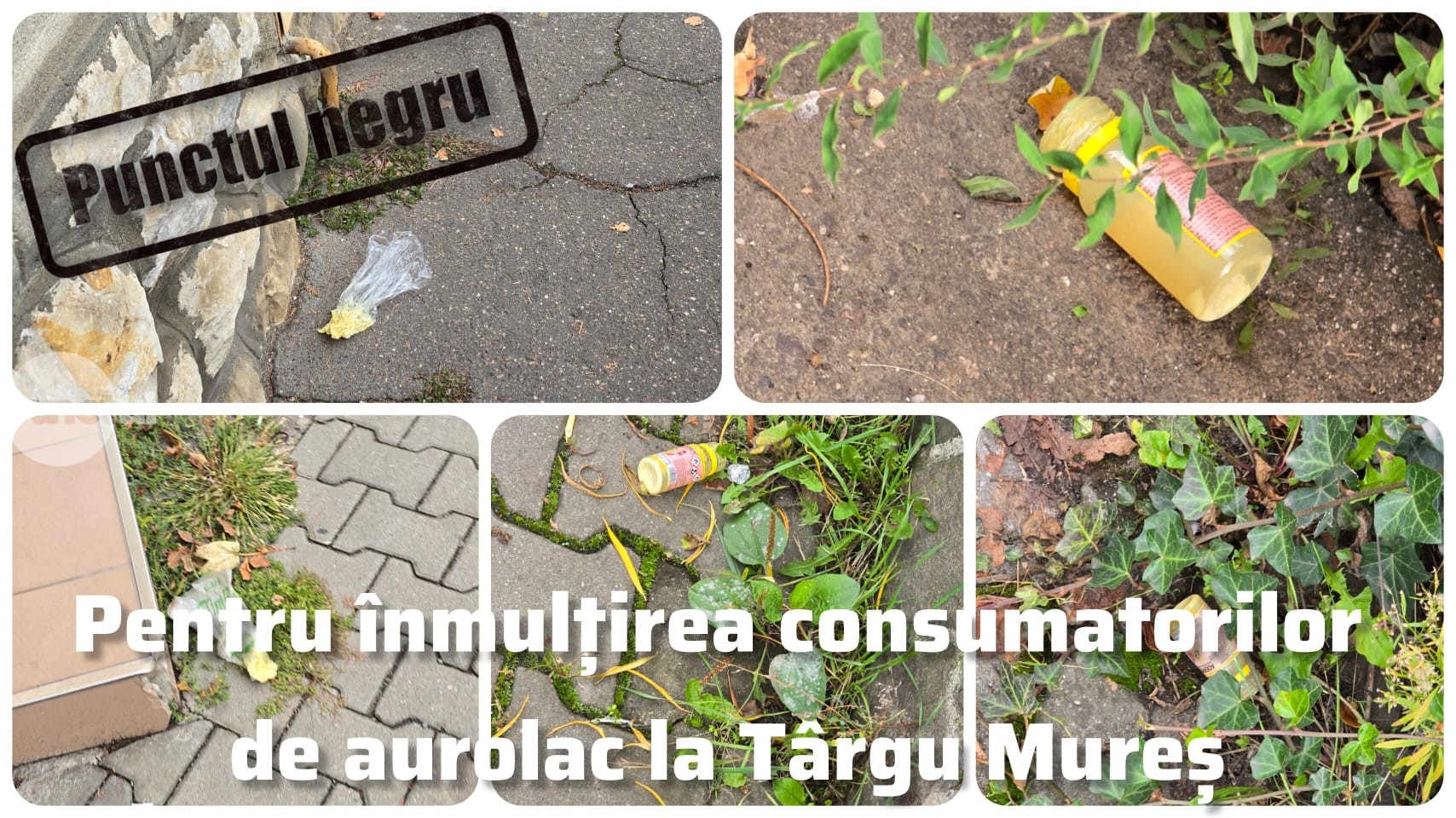 Punctul negru pentru înmulțirea consumatorilor de aurolac la Târgu Mureș