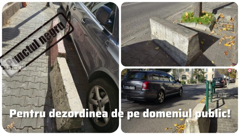 Punctul negru pentru dezordinea de pe domeniul public