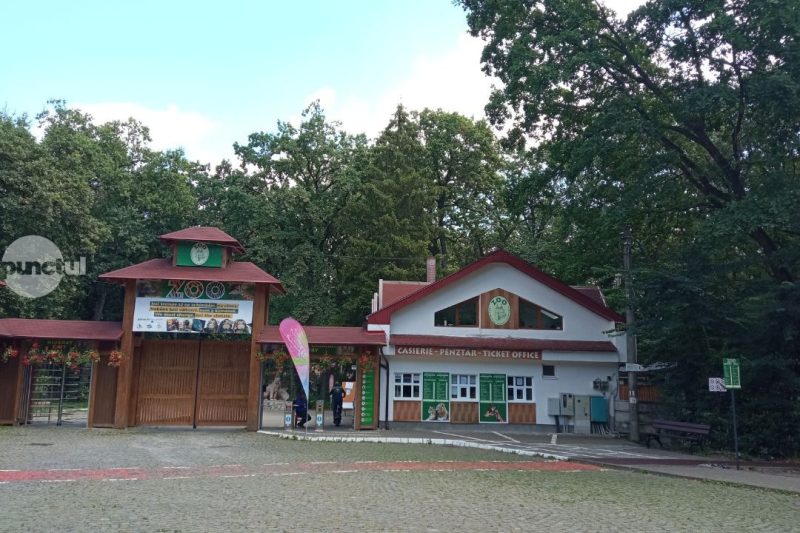 Grădina Zoo se scumpește. Biletul de intrare crește la 40 de lei și apar taxe noi