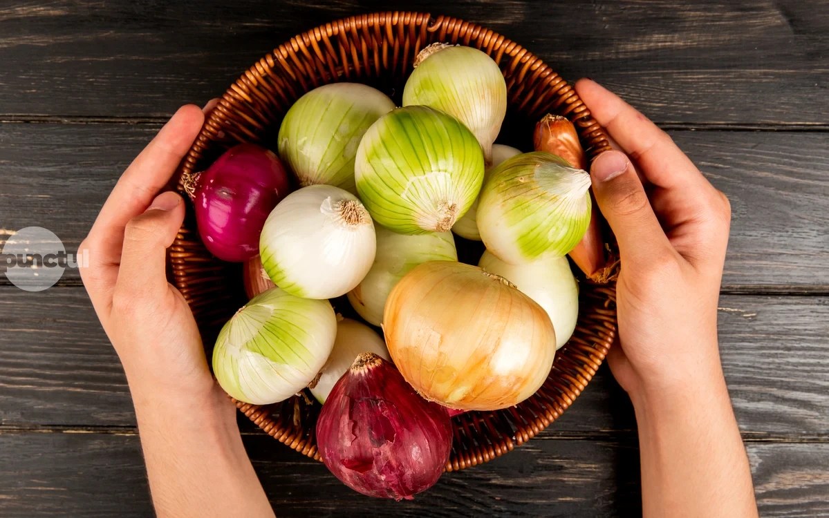 Ceapa, leguma vindecătoare din grădină