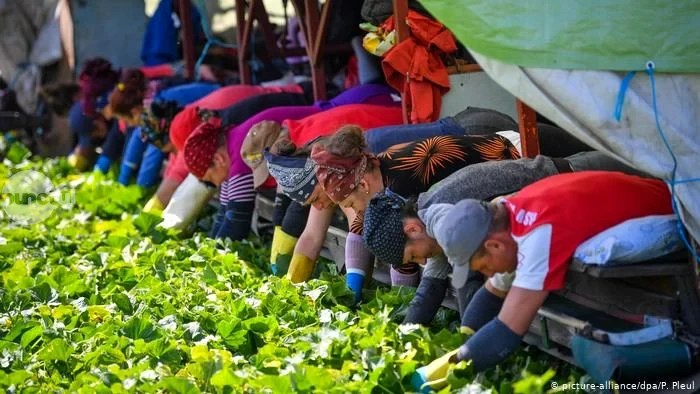 Numărul românilor care vor să plece la muncă în străinătate a scăzut constant în ultimii ani