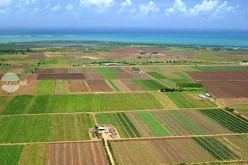 Lovitură pentru agricultori: crește cu 140% baza de impozitare a terenurilor