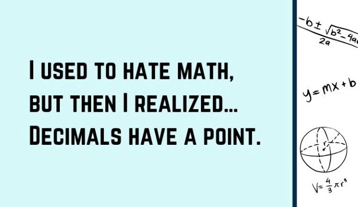 Algebra Puns