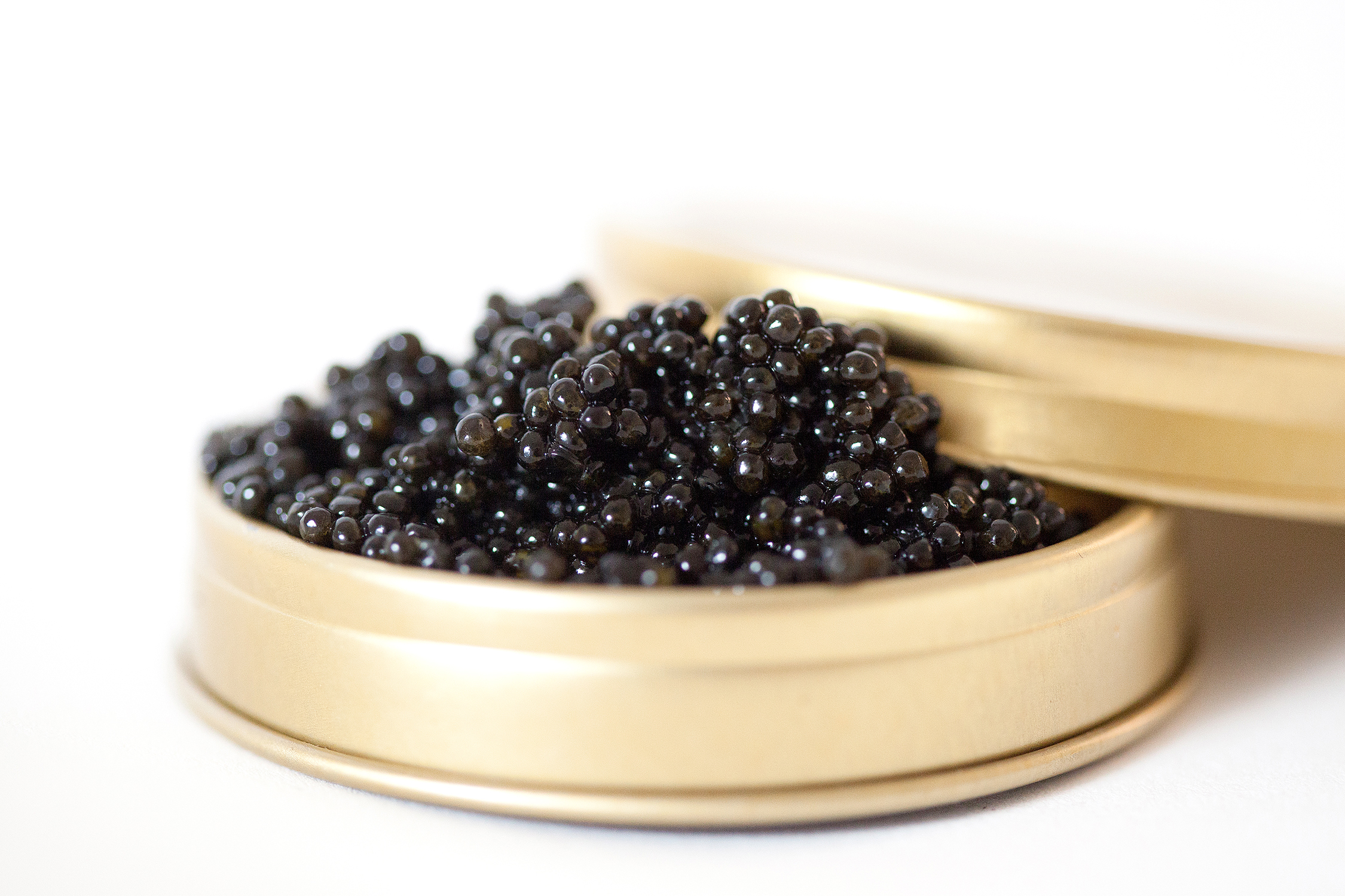 Caviar