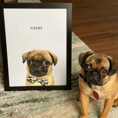 Egyedi kutya portré vásárlói kép