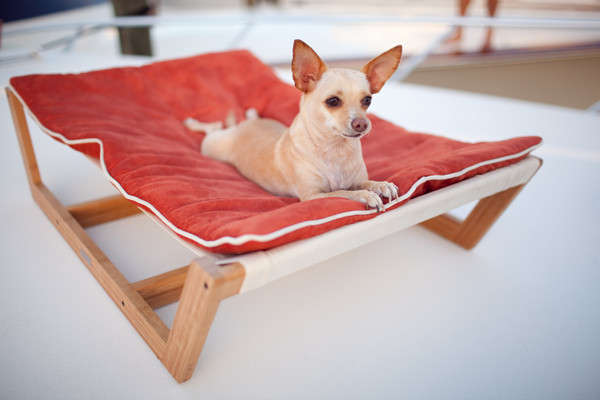 awesome dog beds