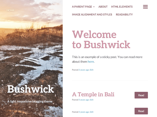 Bushwick wordpress free blog theme