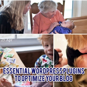 Essential WordPress Plugins to Optimize Your Blog