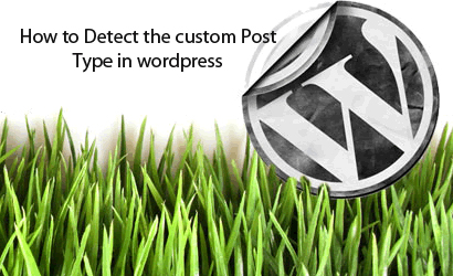 how to check custom post type in wordpress