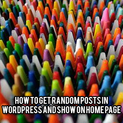 how to get random posts in wordpress