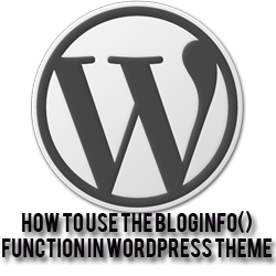 How to use the bloginfo() function in wordpress theme