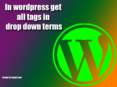 In wordpress get all tags in drop down terms