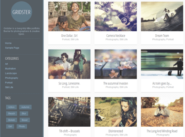 gridster wordpress theme
