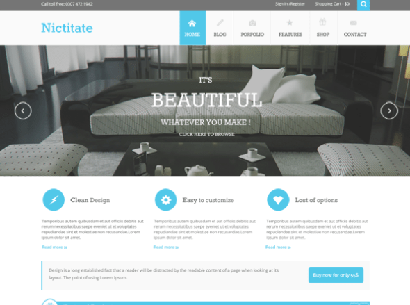 nictitate free wordpress theme