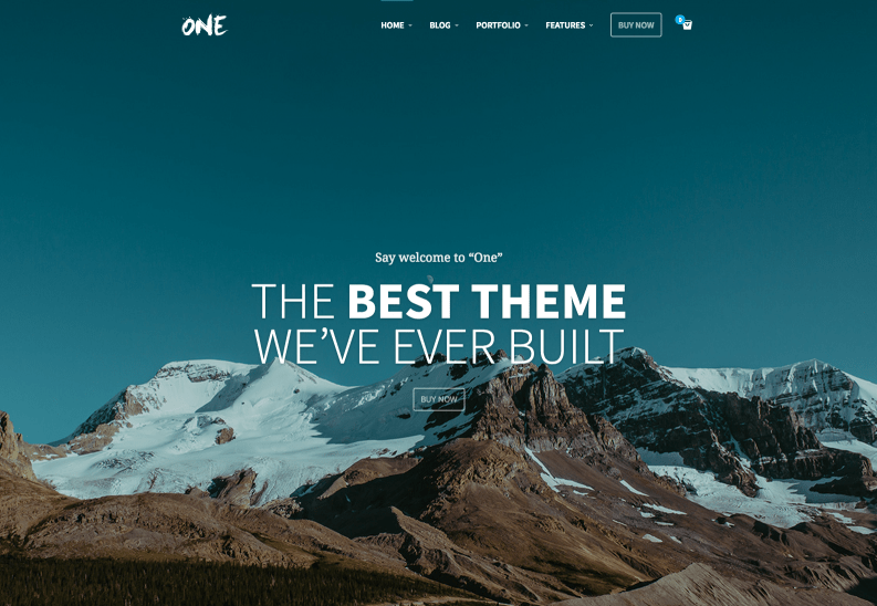 one wordpress theme