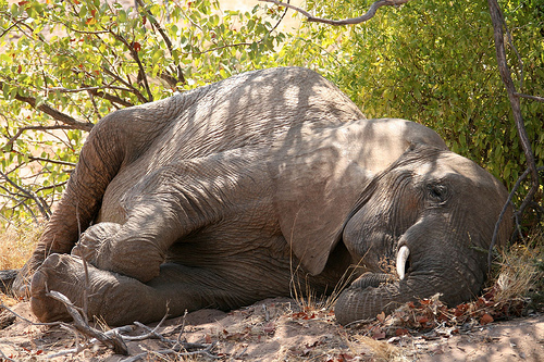 How to use sleep and usleep function in PHP