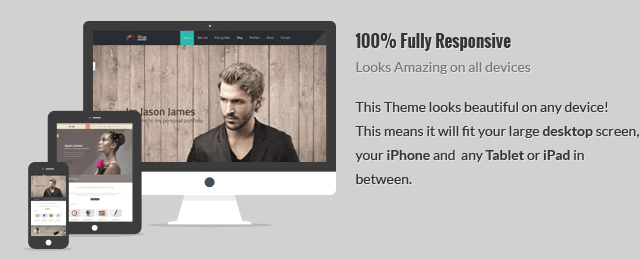rise wordpress one page theme