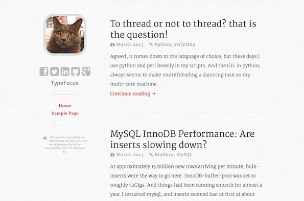 typefocus wordpress theme for blog