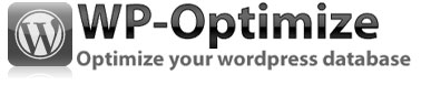 How to Optimize Your WordPress Database using plugin