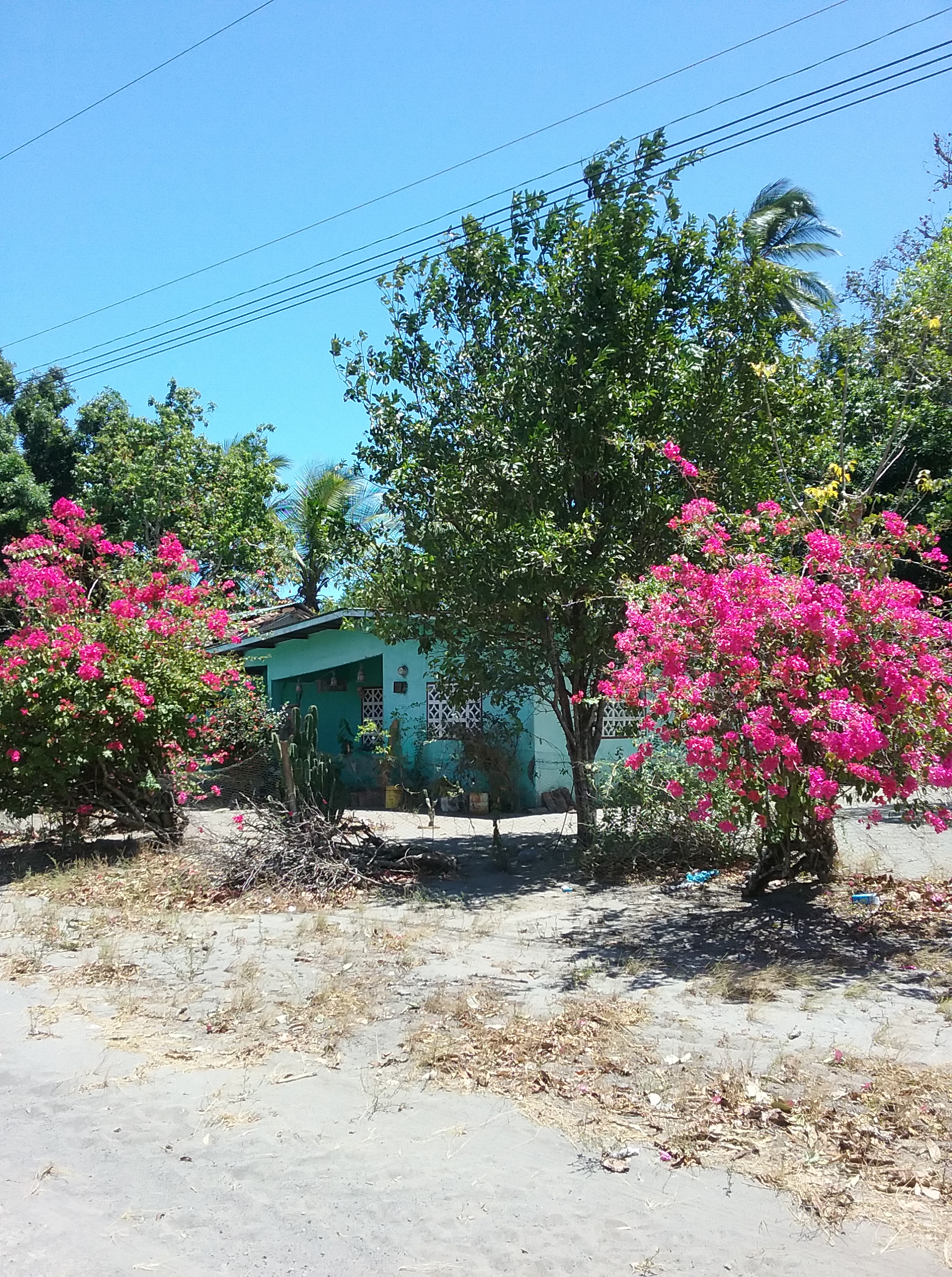 Panama 1