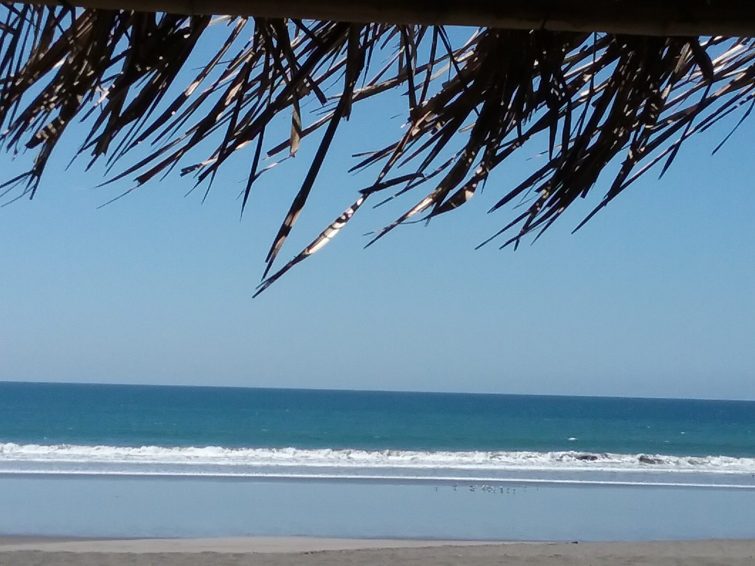 Panama 2019 100