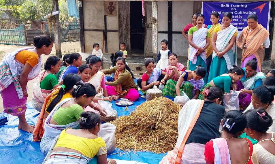 ছয়গাৱত দুদিনীয়াকৈ কাঠফুলাৰ প্ৰশিক্ষণ