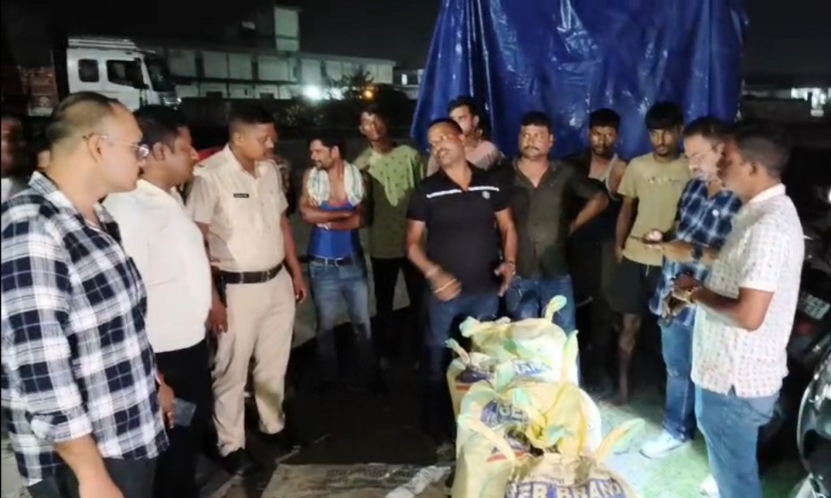 सिलीगुड़ी: चाय के पैकेटों की आड़ में तस्करी की कोशिश, न्यू जलपाईगुड़ी पुलिस ने 145 किलो गांजा किया बरामद