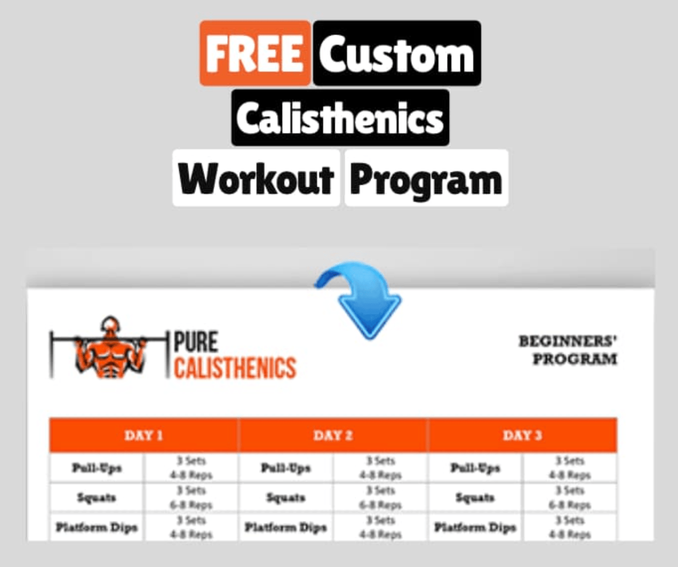 Free Custom Calisthenics Program Product