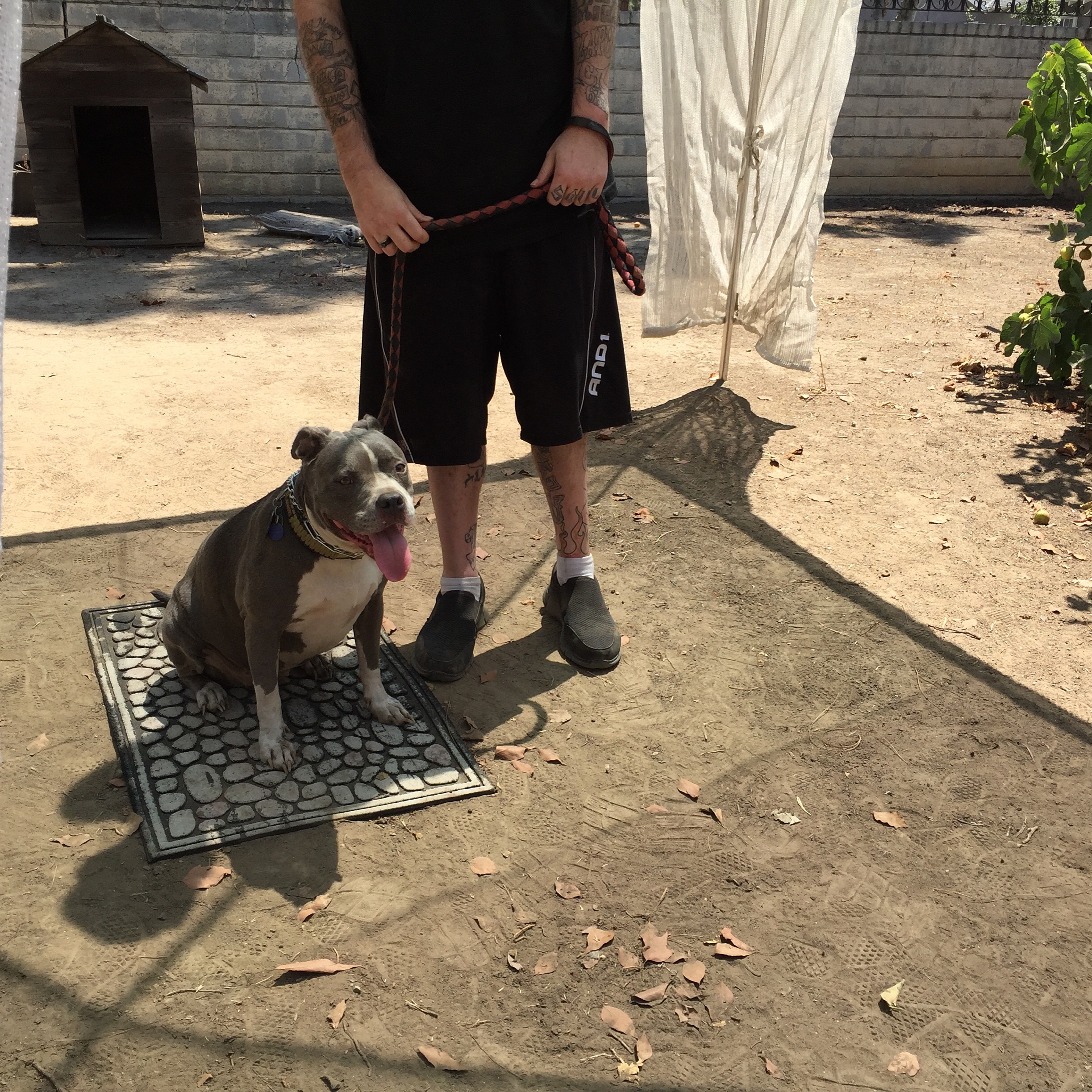 Diamond learning place